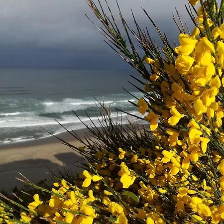 Vakantiehuis Lourecantou *